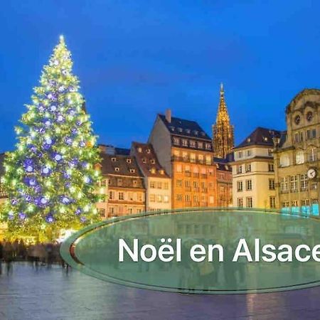 Gite Classe 4 Etoiles  La Maison Du Tonnelier Oberbronn Kültér fotó