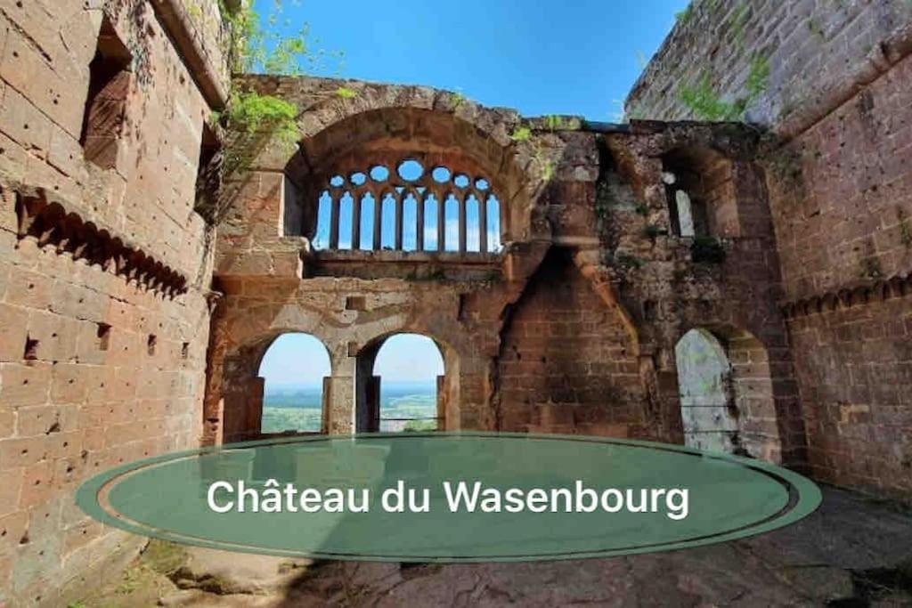 Gite Classe 4 Etoiles  La Maison Du Tonnelier Oberbronn Kültér fotó