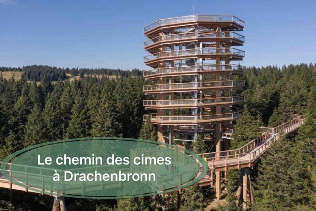 Gite Classe 4 Etoiles  La Maison Du Tonnelier Oberbronn Kültér fotó
