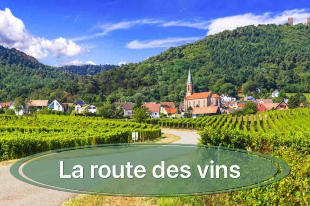 Gite Classe 4 Etoiles  La Maison Du Tonnelier Oberbronn Kültér fotó