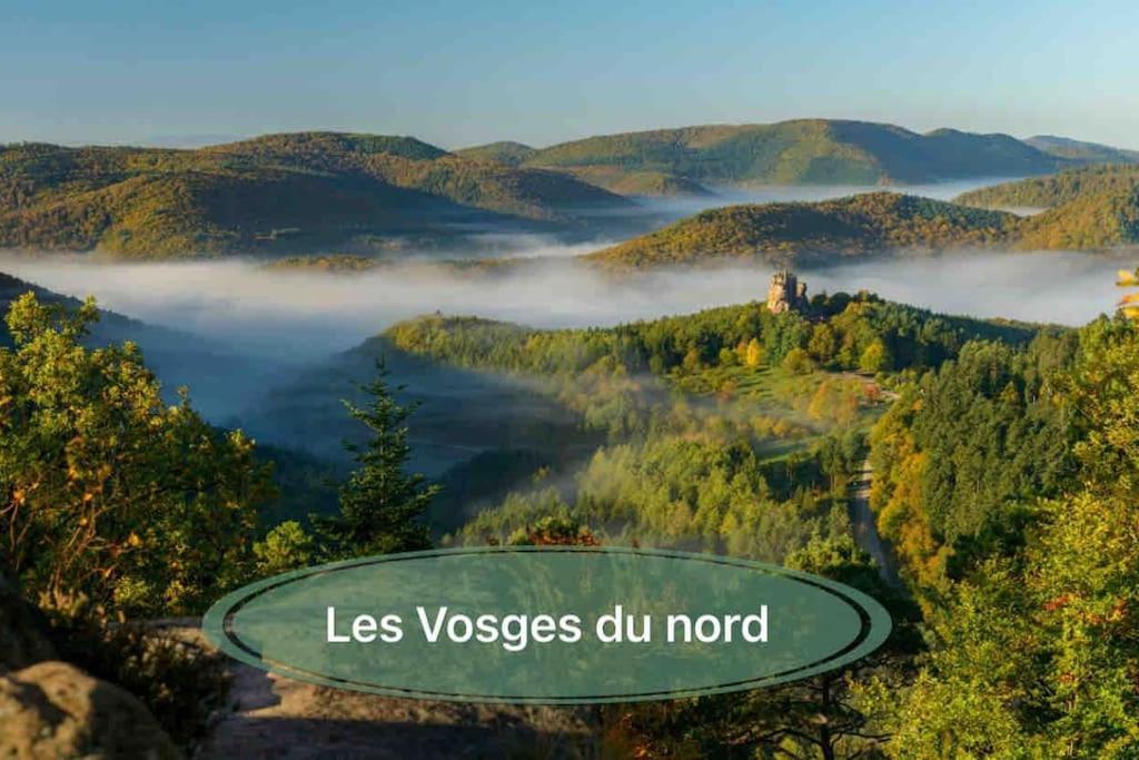 Gite Classe 4 Etoiles  La Maison Du Tonnelier Oberbronn Kültér fotó