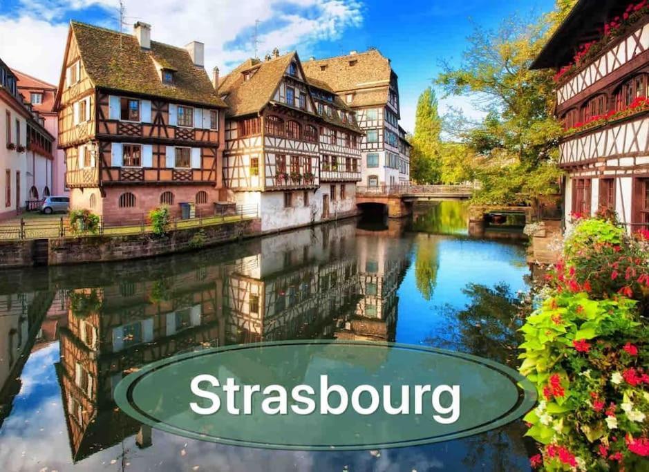 Gite Classe 4 Etoiles  La Maison Du Tonnelier Oberbronn Kültér fotó