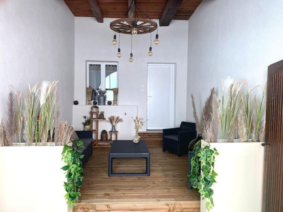Gite Classe 4 Etoiles  La Maison Du Tonnelier Oberbronn Kültér fotó