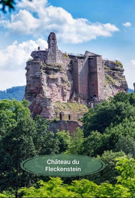 Gite Classe 4 Etoiles  La Maison Du Tonnelier Oberbronn Kültér fotó