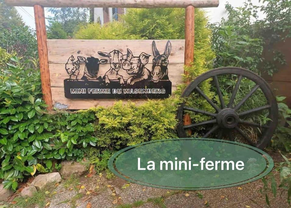 Gite Classe 4 Etoiles  La Maison Du Tonnelier Oberbronn Kültér fotó